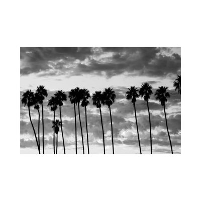 Palm Trees Against Cloudy Sky, Santa Barbara, California, USA 1 Piece Wrapped Canvas Wall Art
