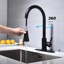 Robinet de cuisine avec douchette extractible-133011877