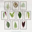 Bright Vintage Leaf Audubon Style Detailed Botanical Study 10 Piece Wall Art-88622281