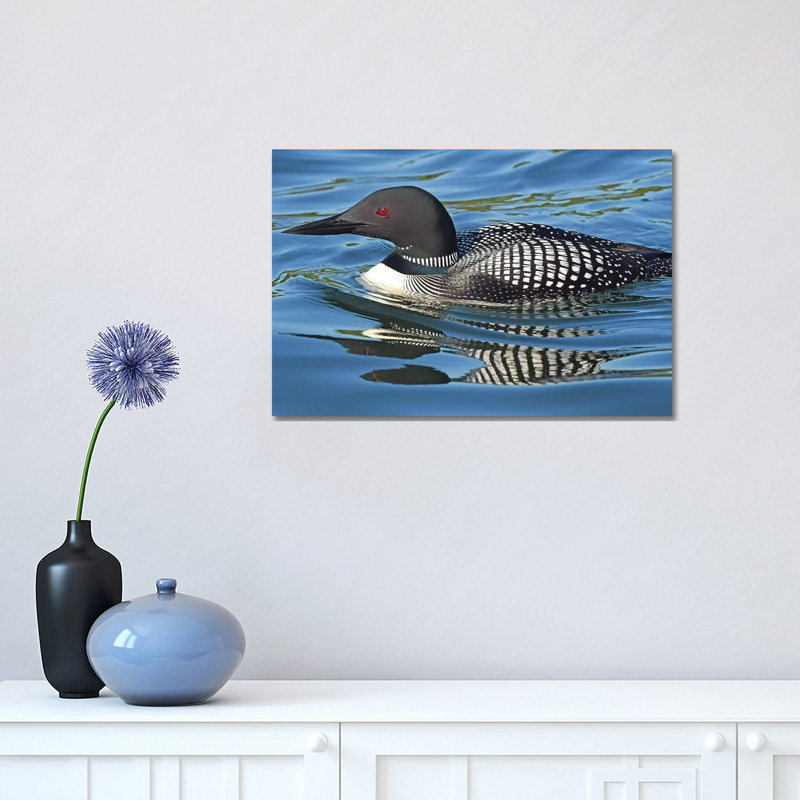 Loon Reflections by Brian Wolf - Wrapped Canvas Print, 30.48 cm H x 45.72 cm W