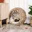 Maison de chat beige, surélevée et tissée pour un lit pour animal de compagnie détendu, réconfortant