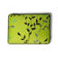 Lit-coussin pour chien Greenery-6144228-11097454