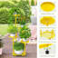 Support pour plante d'angle robuste à 5 niveaux, conception de table ronde, convient au salon, au balcon et au jardin à l'intérieur-1970770597