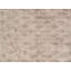 Modern Area Rug in Beige