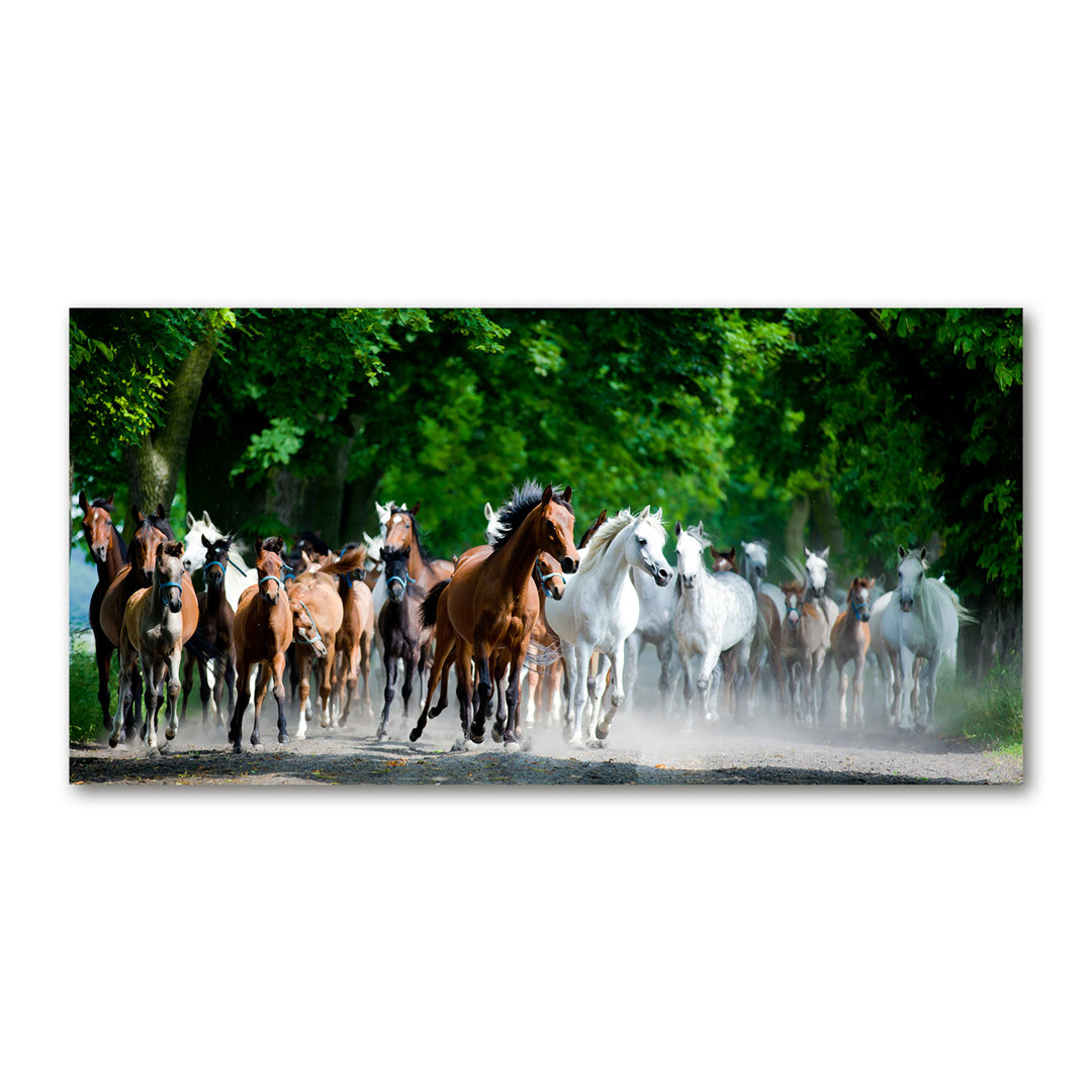 Horses In A Gallop - Wrapped Canvas Print