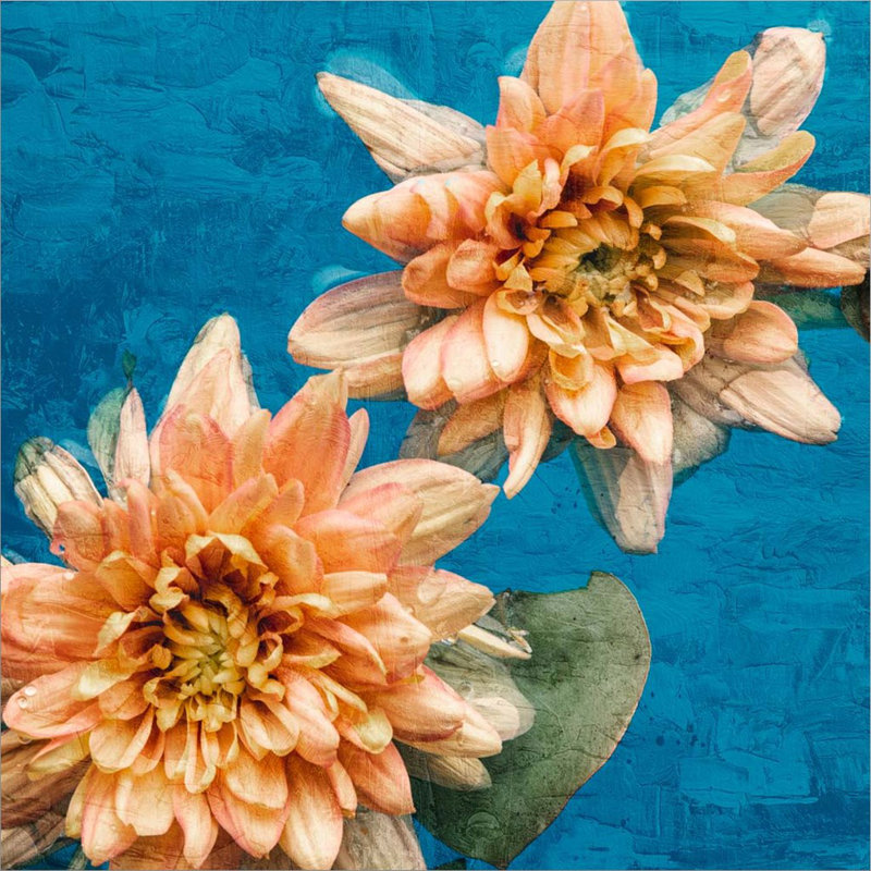 Plants & Flowers Wall Decor on Canvas
