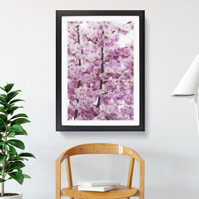Pink Cherry Blossom Flowers Vol.2 - Framed Print