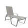 Holna Outdoor Rust-Resistant Metal Chaise Lounge