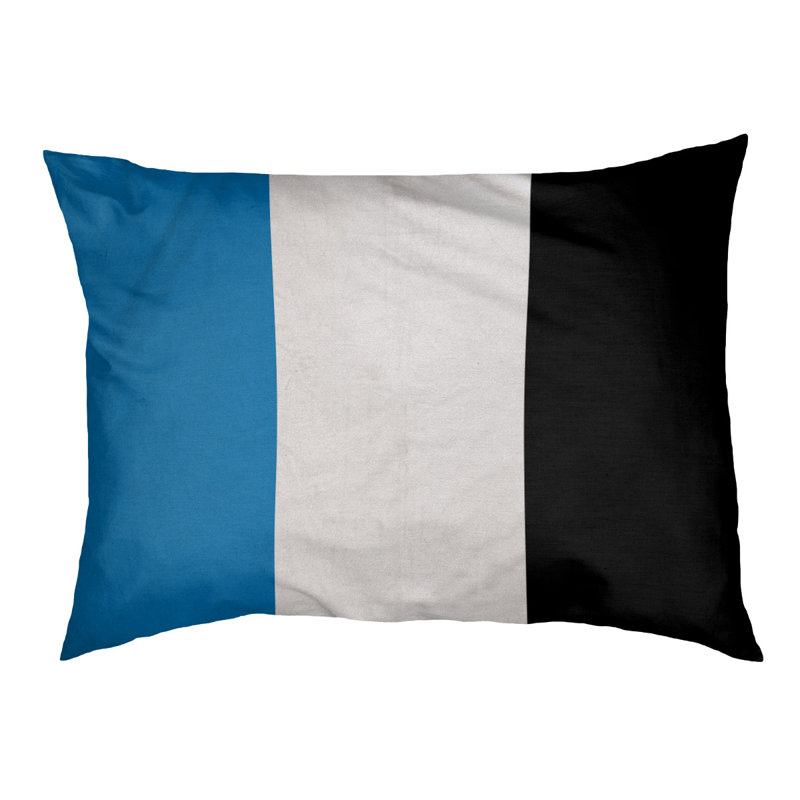 Coussin Designer, Moyen (L 18 po x l 28 po), Bleu / blanc / noir