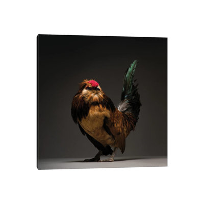 Barbu De Watermael - Wrapped Canvas Print