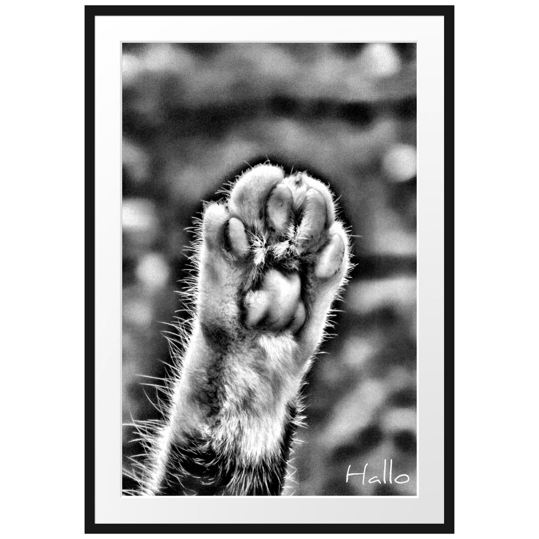 Gerahmtes Poster Small Cat Paws