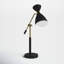 Bimini Adjustable Metal Desk Lamp