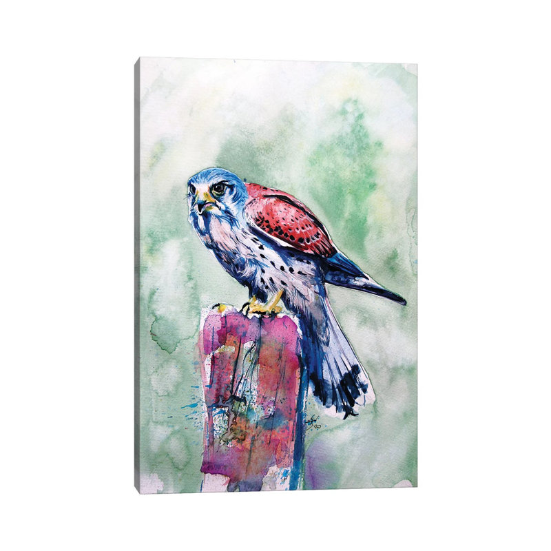 Kestrel 1 Piece Wrapped Canvas Wall Art, 20.32 cm H x 30.48 cm W