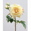 Real Touch Prestige Soft Yellow Rose 22"-807825549