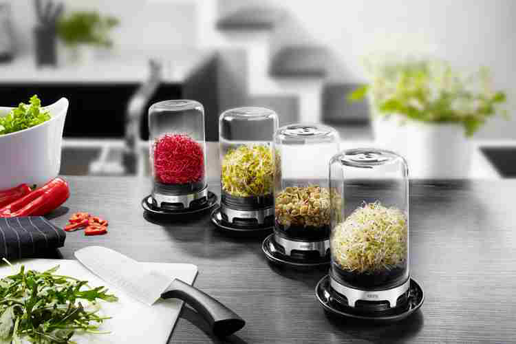 Unité hydroponique Bivita Sprouting Jar