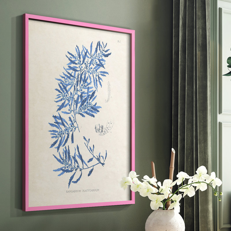 «Blue Marine Algae III», reproduction encadrée - bois massif, Rose, H 10 po x l 8 po