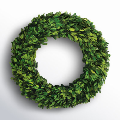 Alby Preserved Boxwood Real Greenery Wreath