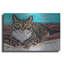 «Kaleidoscope Comfy Cat» par Carolee Vitaletti-816966866
