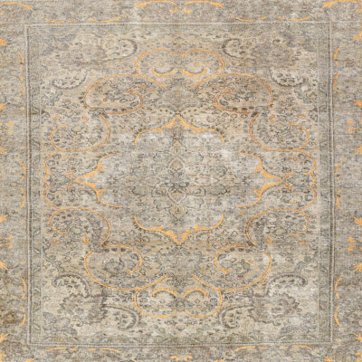 Carnmore Oriental Indoor Rug