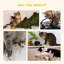 Jayson 70cm H Cat Tree