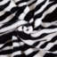 Luxury Plush Zebra Print Blanket-803266432-703814842
