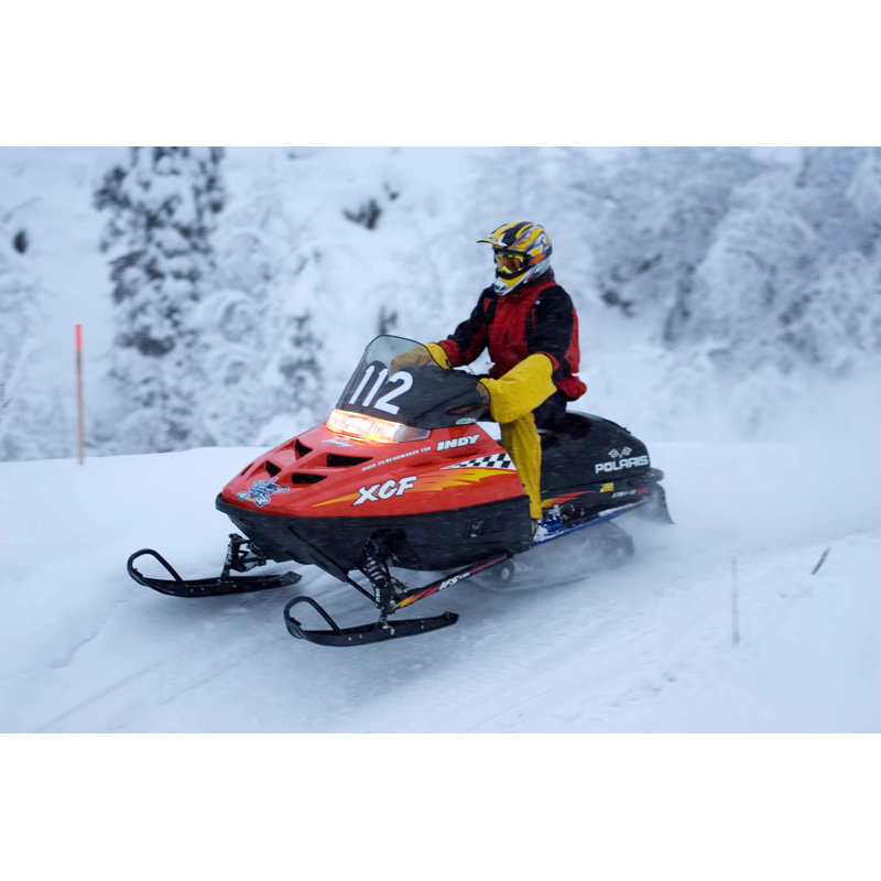Décalcomanie murale arctique iii, 40 po x 60 po