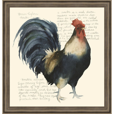 Rooster - Single Picture Frame Graphic Art