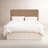 Eisley Upholstered Panel Headboard-85030152-125708497