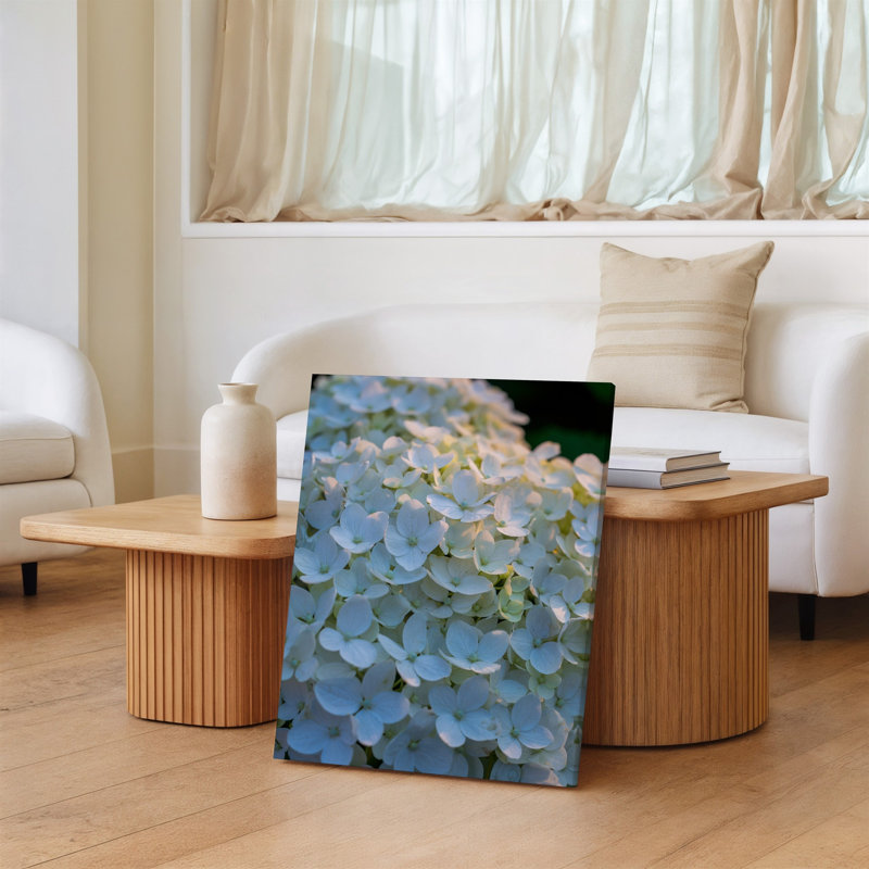 Toile, composition en gros plan de délicates fleurs d'hortensia blanches denses emballées ensemble mettant en vedette leur douce toile arrondie