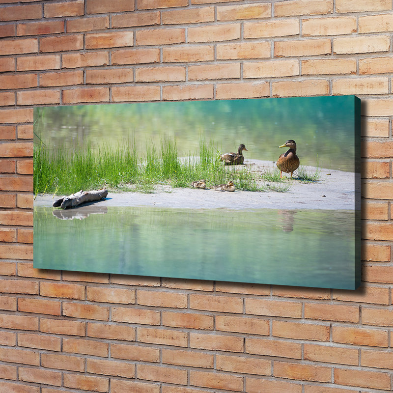 Ducks Above The Water - Wrapped Canvas Print