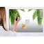 Magnetic Glass Dry Erase Board