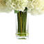 Delphinium, Hydrangea and Fern Floral Arrangement in Tall Glass Vase