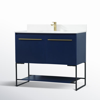 Rozell 40'' Single Bathroom Vanity