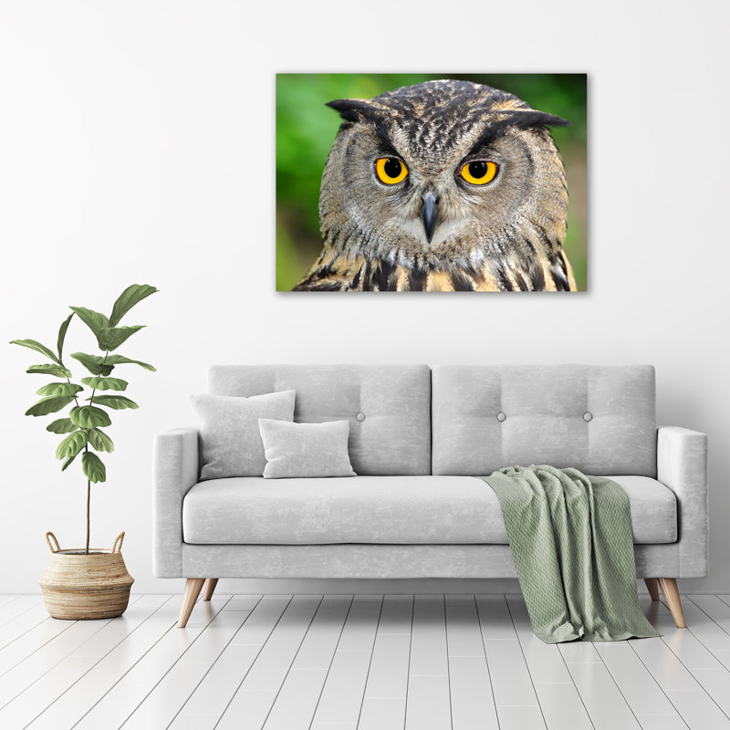 Owl - No Frame Print on Canvas