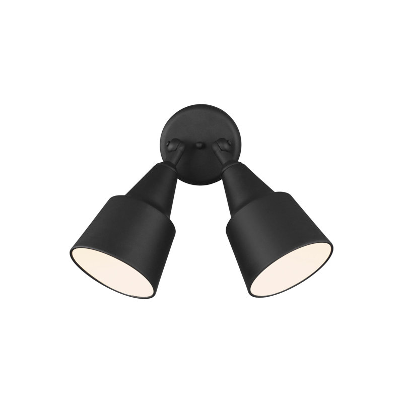 Two Light Adjustable Swivel Flood Light from Generation Lighting , Black