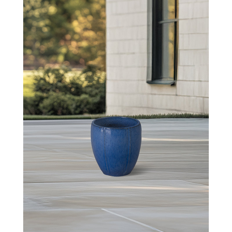 CREST PLANT, NEIGE, Bleu, H 10 po x l 9 po x P 9 po
