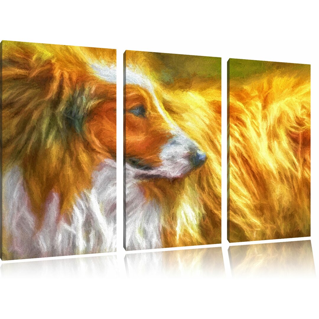 3-tlg. Leinwandbilder-Set „Schöner Collie im Seitenprofil“, Kunstdruck