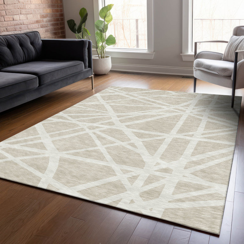 Machine Washable Indoor/Outdoor Chayden ACN1040 Rug, Rectangle 8' x 10'