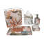 Neptune Tissue Holder