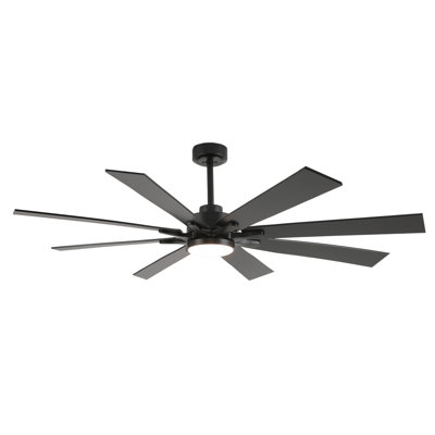 Delanei Ceiling Fan with LED Lights