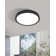 Apus LED Flush Mount