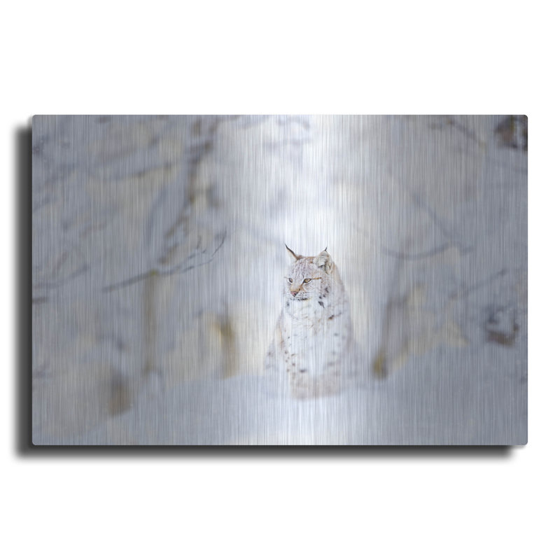 Snow Lynx par PhotoINC Studio, H 12 po x l 16 po