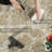 Annetrude Indoor Rug-2129083351