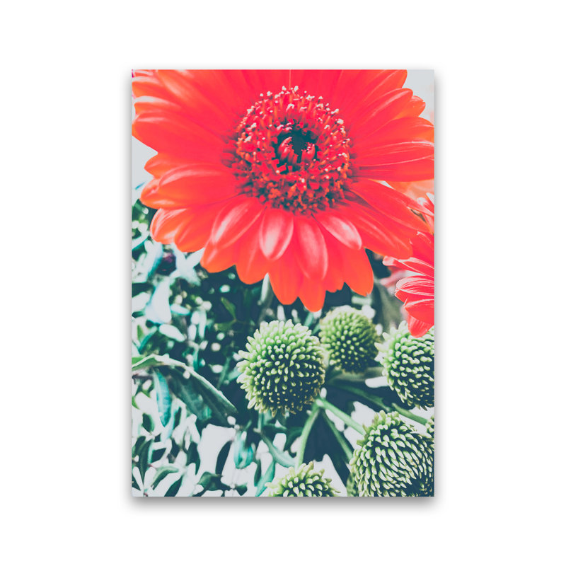 Gerbera - Print, No Framed, 30cm H x 21cm W x 1cm D
