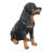 Rottweiler Sitting Statue