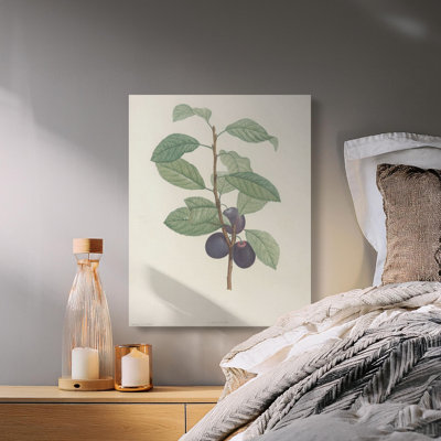 Herr Wrapped Canvas Print Set