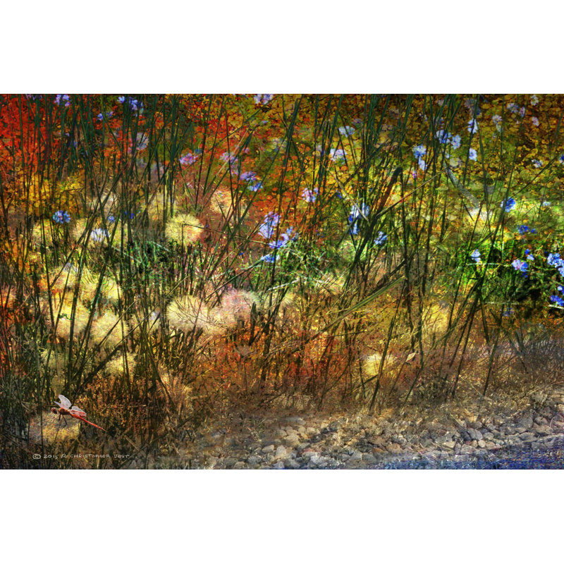 Meadow Dragon Fly Canvas Print in Sustainable Wood Frame