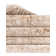 Clessie Oriental Indoor Rug