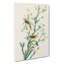 Yellow Red-Poll Warbler From Birds by John Audubon - Wrapped Canvas Painting-55320189
