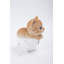 Figurine de chaton Teacup Tabby-20582132